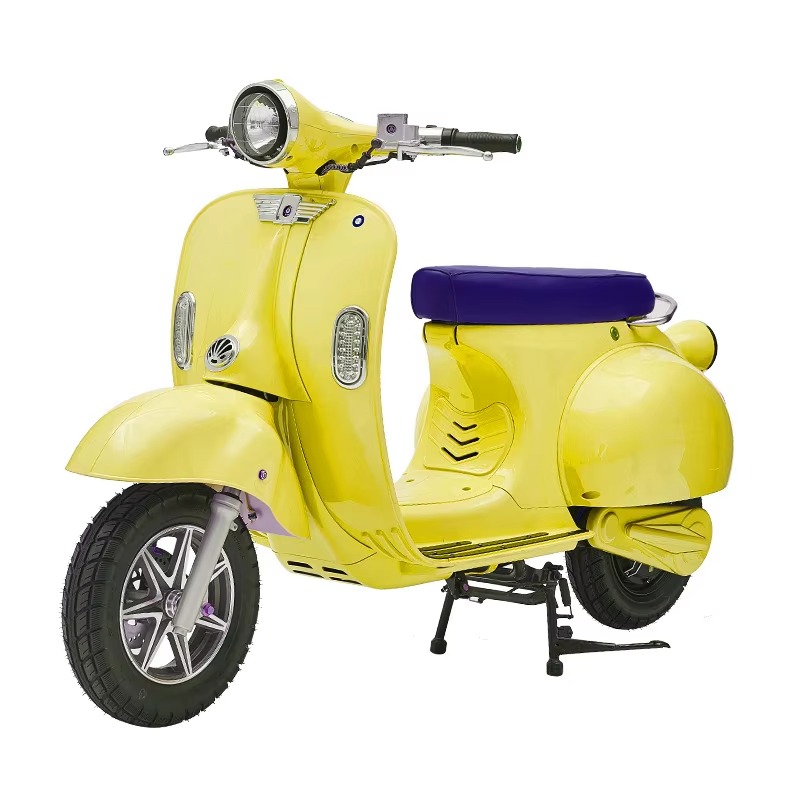 크로노 와일드 일렉트릭 바자즈 체탁 개조형 이륜 클래식 - Scooter Parts 리뷰 및 가격